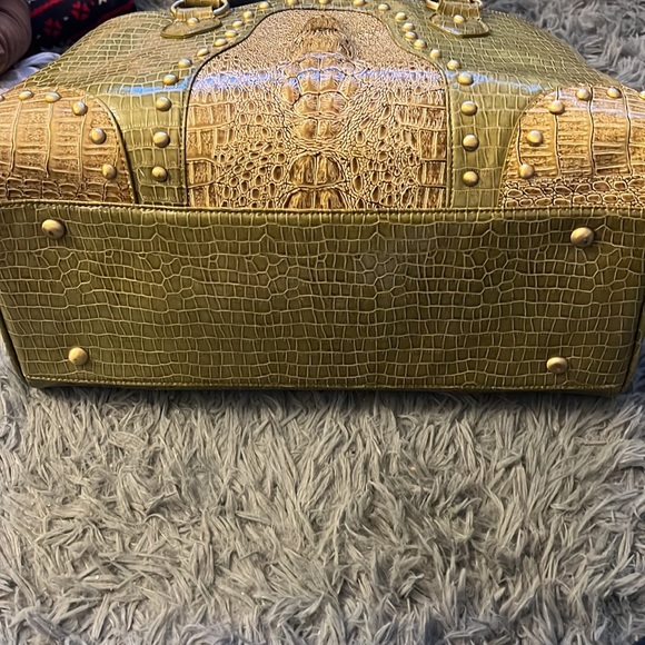 Backbone gator pet carrier - Picture 7 of 11